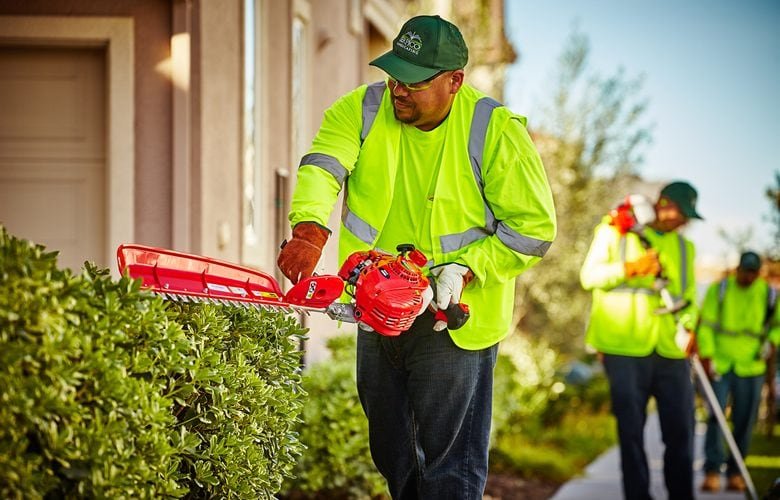 Best Landscape Maintenance Service in Tucson Arizona !