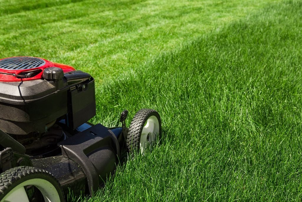 Lawn Mowing Service Near Me