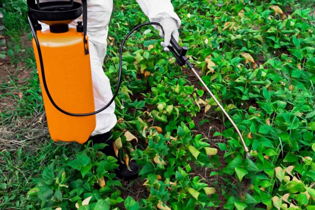 Best Weed Control in Tucson Arizona !